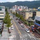 비래동 산림조합 이미지