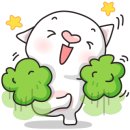 크레도니아 팔달구청점