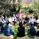 자라는 씨앗 이미지