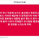 여자 하나 덕분에 보수는 총선에서 폭망하고... 이미지