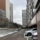 연계당 및 연계소영일기 | [공지] [임신 일기8] 대망의 32주 임산부 만삭사진...꽃보라사진관|이든포레산후조리원 연계|내돈 내산