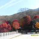 동산교육 이미지