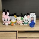 (주)이채팜 | 천방지축 어리둥절 빙글빙글 돌아가는 11월 일상