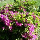 어답산농장 이미지