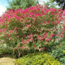 동래읍성역사관 이미지