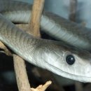 포커스에너지 이미지