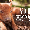 주사랑 농장 이미지