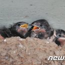 금지농약사 이미지