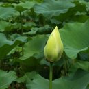 참샘골농원 이미지