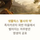 승리미용재료 | 넷플릭스 불사의 약 줄거리 및 관람 포인트, 인도네시아 좀비 공포의 새로운 정의