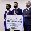 인셀덤클라쓰 이미지