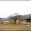 삼산고을