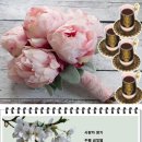 차 향기 이미지