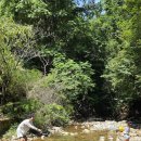 힐링펜션 리뮤 | 강원도 인제 계곡있는 백담폭포캠핑장 6살 아이랑