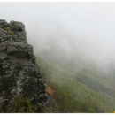 만연스크랩 이미지