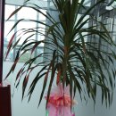 우호축산 이미지