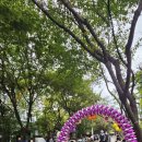 중2동-10 이미지