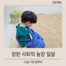 고래농장 | 창원 아이랑 체험 실내 밀가루놀이부터 피자만들기까지 사회적농장 밀알 후기