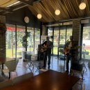 숲을 그리다 이미지