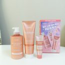 쿤달 올리브영추천템 프로틴 데미지 케어 샴푸, 노워시트리트먼트, 헤어팩