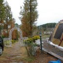 부부인삼농원 | 태안반도 팜카밀레농원 캠핑후기 (09. 11. 14 ~ 11. 15)