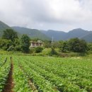 흥이많은농부 이미지