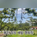 숲속의아침주말농원 이미지