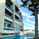 프리독펜션B | 영덕 오션뷰 비프리비 펜션, 수영장 스탠다드B 객실 후기