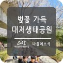 대저어린이집 이미지