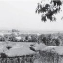 수원-1221 이미지