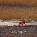 애몽 이미지
