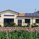 주식회사다솔 이미지