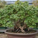 추계농장 이미지