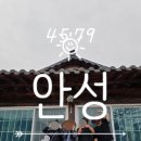 산삼꽃피는마을 네이버블로그