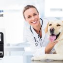 딜리동물병원 이미지