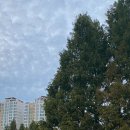 그라츠커피랩 - 송파구 위례광장로 270 | 그라츠커피랩