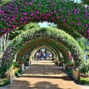 건강한미래항외과의원 이미지