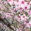 최고집농장 이미지