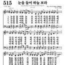 하늘보라2 이미지