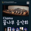 클나무바이올린