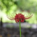 중앙공원 시민광장 이미지