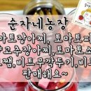 순자농장 이미지