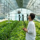 하나로농장-2 이미지