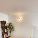 리리스테이 이미지