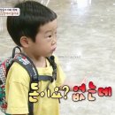 다피노쉐프 이미지