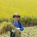 세종농장 이미지