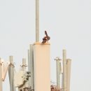 낙동강변22 이미지