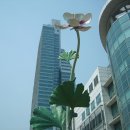 안양 우편집중국 앞 이미지