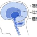 두평의꿈 이미지