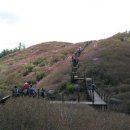 시몬주유소 이미지